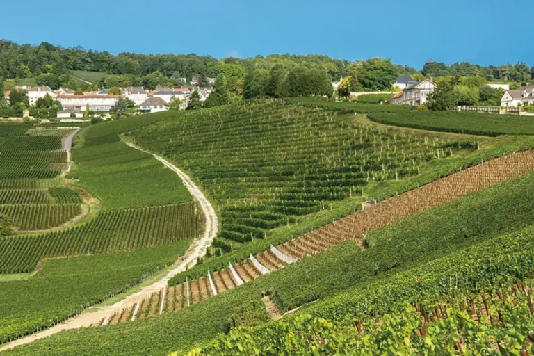 2025-0609-France at its Finest from Paris to the Champagne Region-image-4