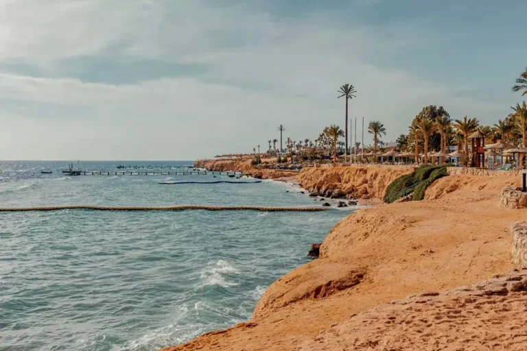 2025-0715-A-Journey-of-Red-Sea-Glory-&-Timeless-Discoveries-IMAGE