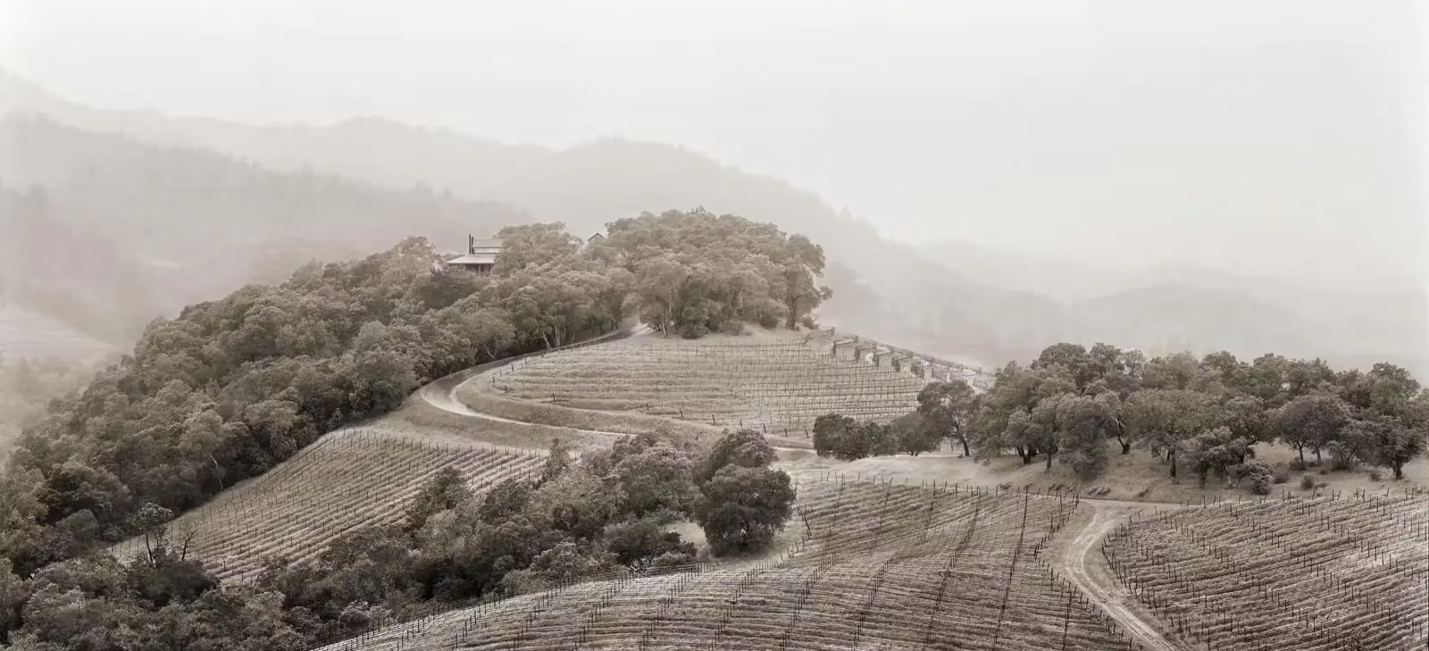 美國納帕谷Napa Valley | 此生必訪頂級十大酒莊！