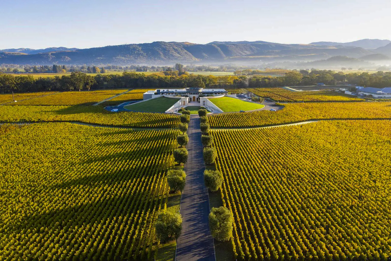 美國納帕谷Napa Valley | 此生必訪頂級十大酒莊！