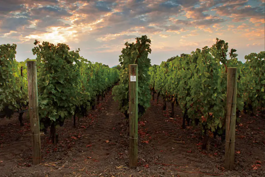 美國納帕谷Napa Valley | 此生必訪頂級十大酒莊！