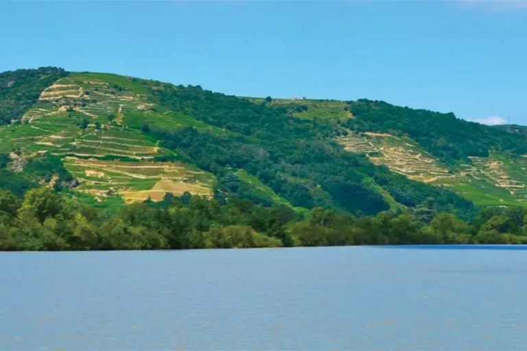 2025-0828-All-the-must-see-sites-on-the-Rhône-between-Lyon,-Provence,-and-the-Camargue-with-a-dinner-at-Paul-Bocuse's-Abbaye-de-Collonges-Restaurant-OFFERED-IMAGE-