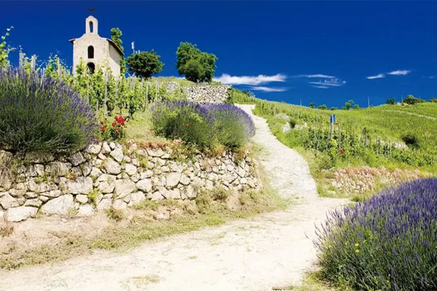 2025-0828-All-the-must-see-sites-on-the-Rhône-between-Lyon,-image-8