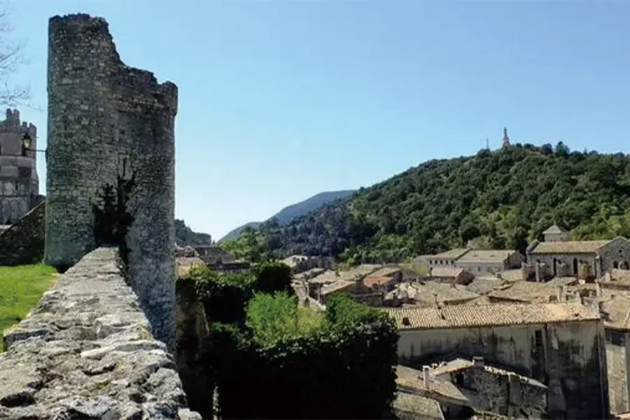 2025-0828-From Burgundy to the Camargue along the Saône and the Rhône Rivers (port-to-port cruise)-IMAGE-4