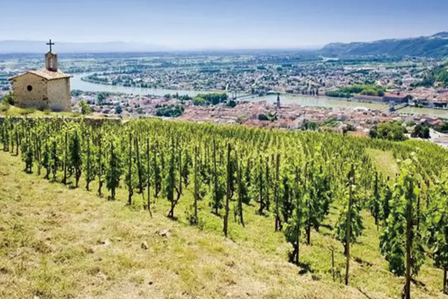 2025-0829-Oenological cruise Discover the fabulous world of vines and wine-image-1