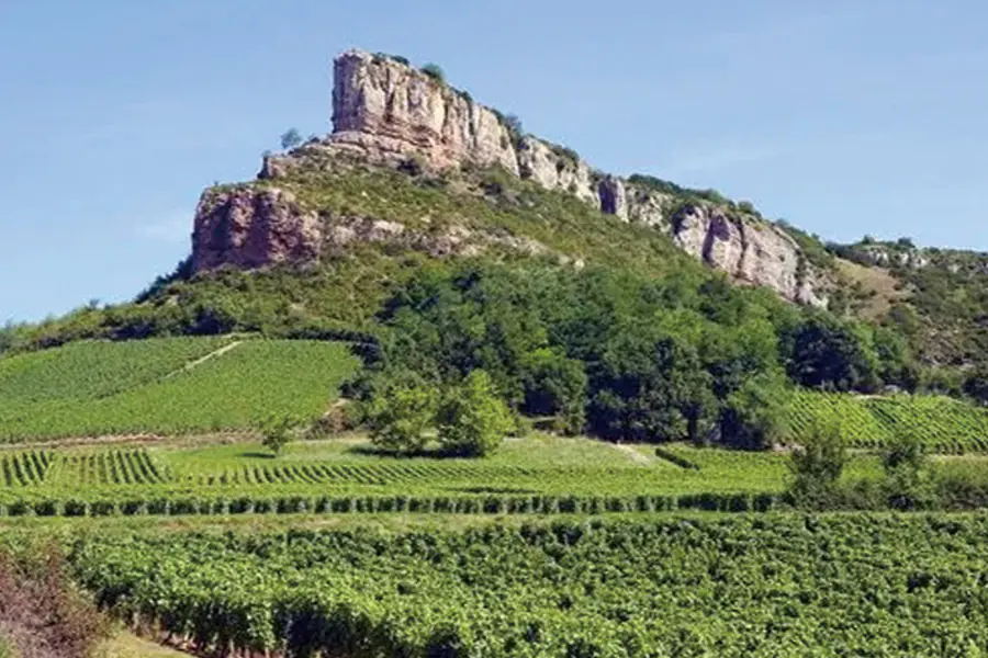 2025-0829-The Valleys of the Rhône and Saône Gastronomy and vineyards-image-2