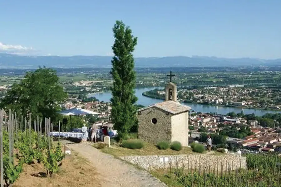 2025-0829-The Valleys of the Rhône and Saône Gastronomy and vineyards-image-3