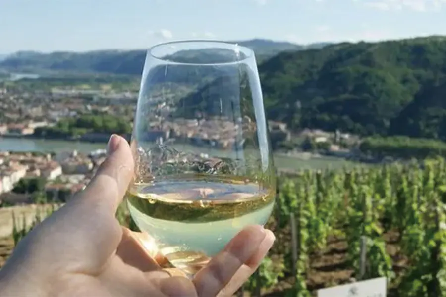 2025-0909-Discover the fabulous world of vineyards and wine, exceptional terroirs of the Rhône and Saône (port-to-port cruise)-image-2