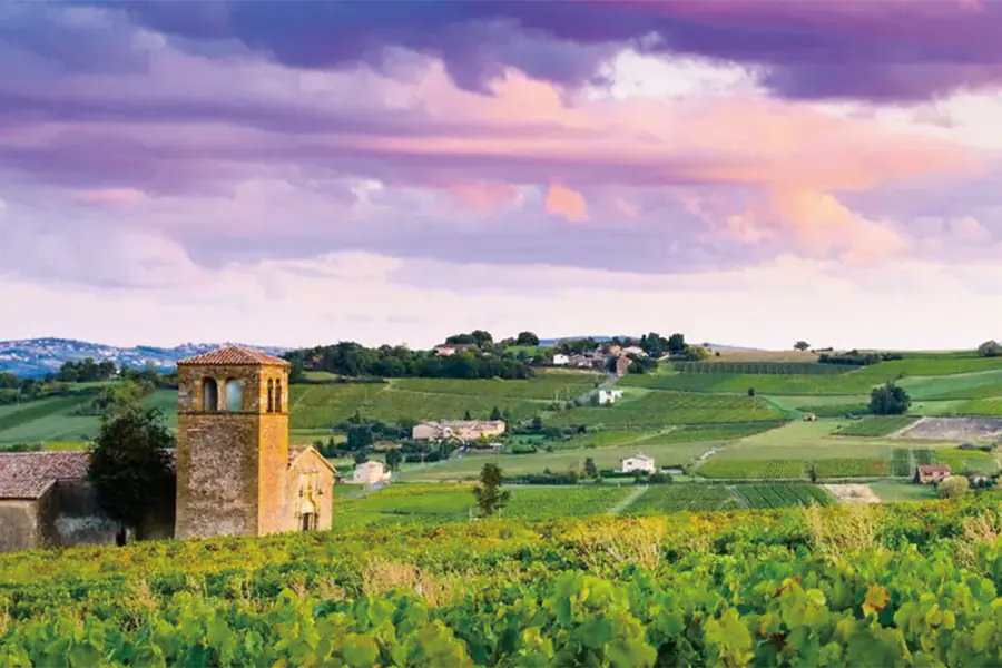 2025-0909-Discover the fabulous world of vineyards and wine, exceptional terroirs of the Rhône and Saône (port-to-port cruise)-image-4