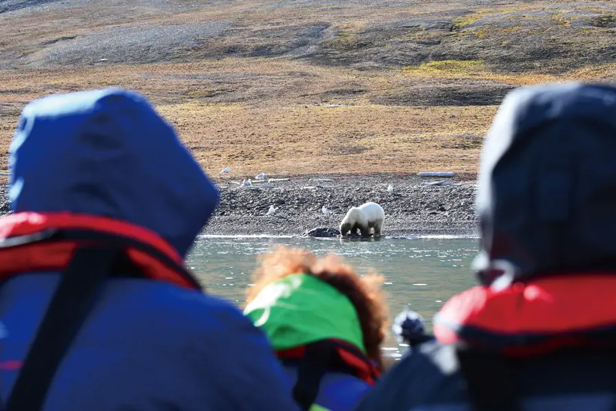 2025-0923-polar bear-image-2