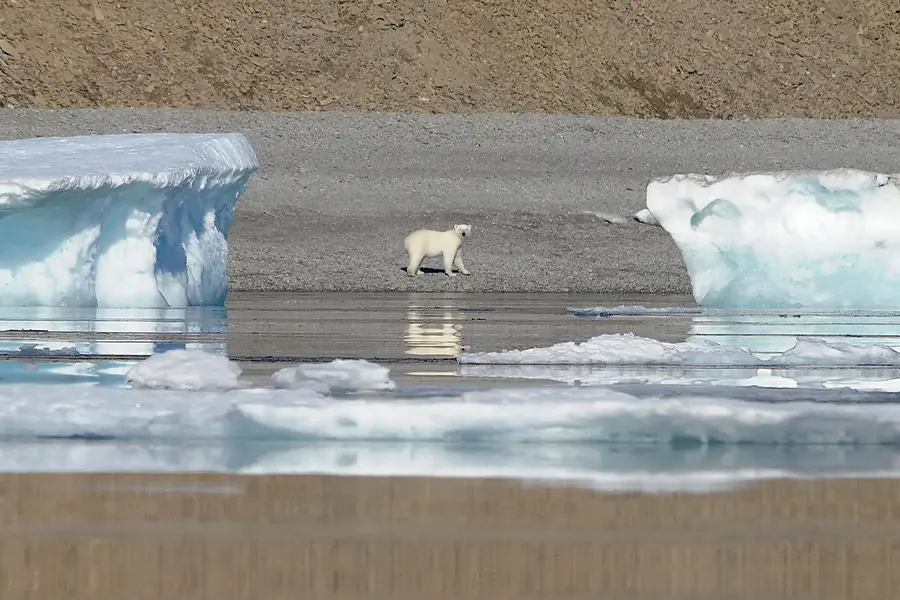 龐洛郵輪 | 北極 | 環遊西北航道精華地段In the heart of the Northwest Passage / 2027年08月