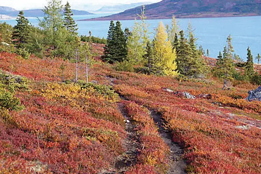 2025-1018-Wilderness from Greenland to the East Coast of Canada-image-11