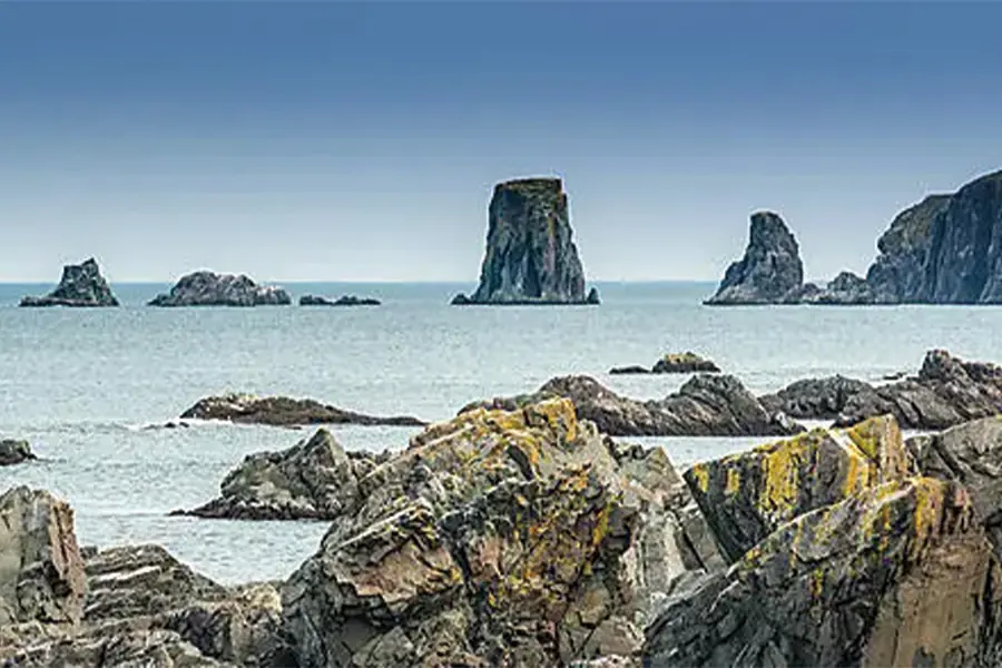 2025-1018-Wilderness from Greenland to the East Coast of Canada-image-6