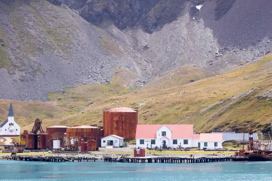 2025-1022-Grytviken-image