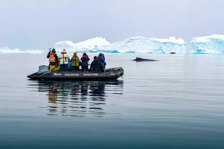 泛海郵輪 | 南極 | 南極洲—探索與學習之旅Antarctica – Discovery and learning voyage / 2026年02月