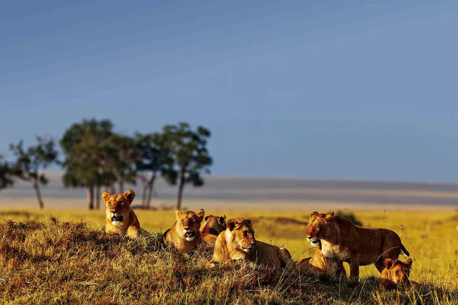 2025-1119 Mara Sopa Lodge-image