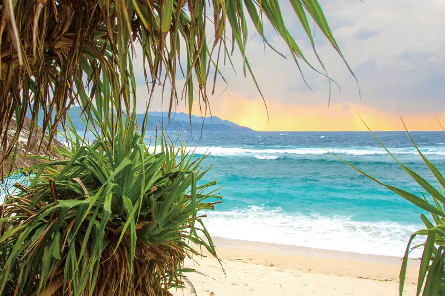 2025-1209-HONG KONG TOKYO -image-4