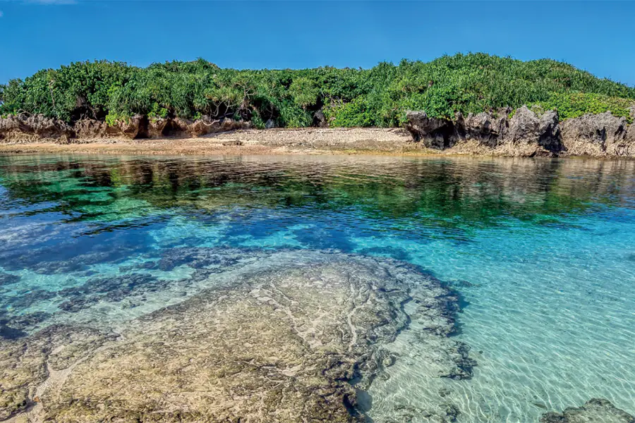 2025-1210-ritzcarlton-Hong Kong To Tokyo (Yokohama)-image-2