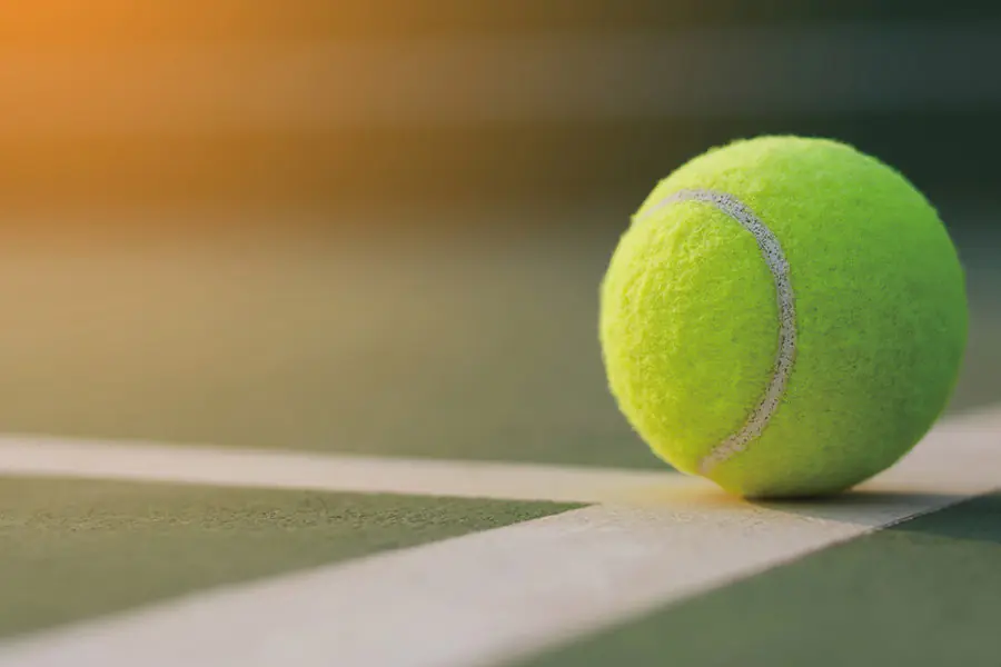 2025-1211-Explorer-Daytime Enrichment-image-04