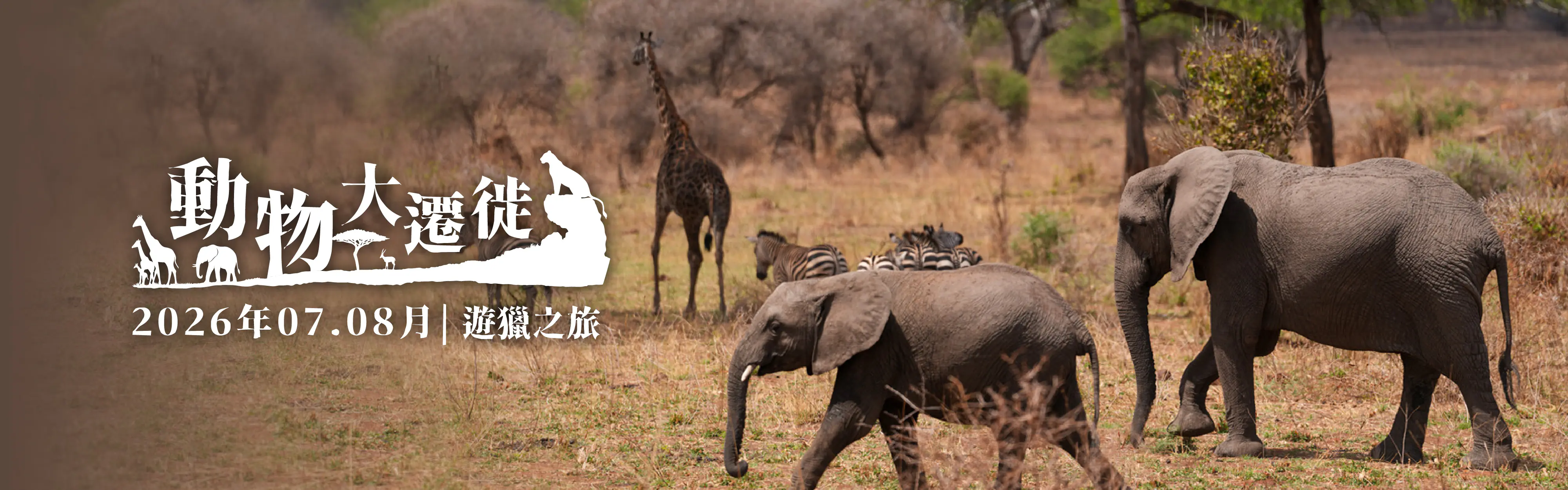 2025-1211-infinitytour.com- 2026Animal-Migration-pc