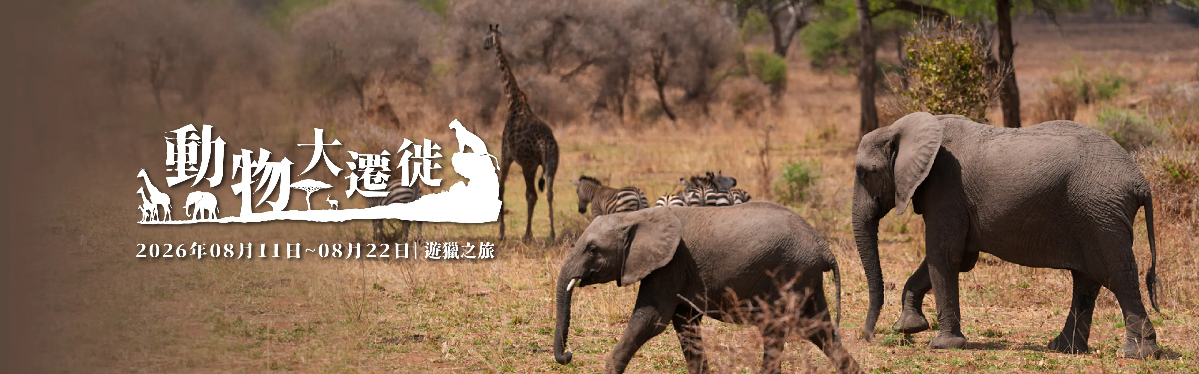 2025-1224-infinitytour.com- 2026Animal-Migration-pc