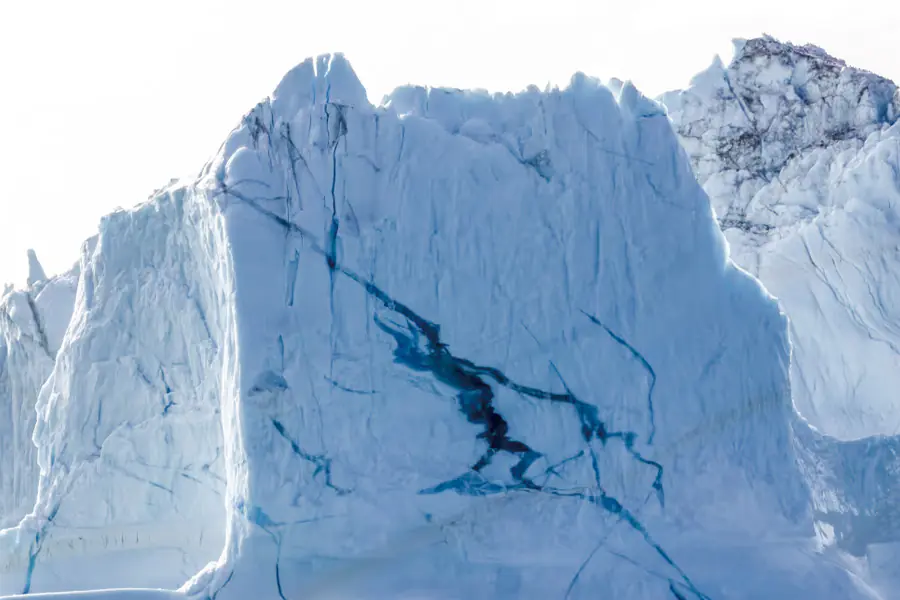 2025-1230-oceanwide-Icebergs-image