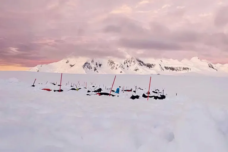 泛海郵輪 | 南極 | 南極大本營 ( 極地露營、划獨木舟、雪鞋/健行、攝影工作室、登山 )Antarctica Basecamp( free camping, kayaking, snowshoe / hiking, photo workshop, mountaineering ) / 2027年11月