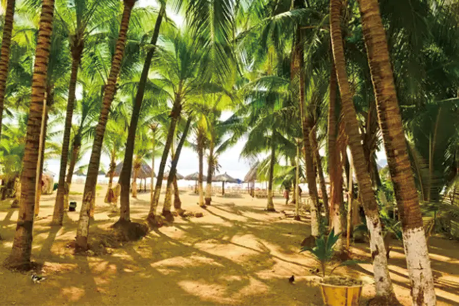 2025-0102-HAPAG-LLOYD CRUISES-Colon-Los Angeles The treasures of bygone cultures-IMAGE-7