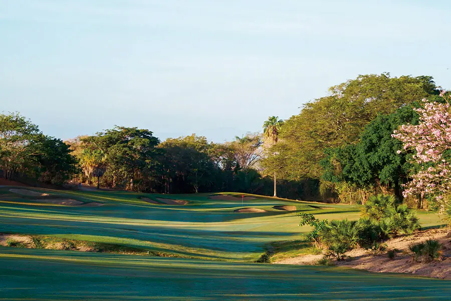 2026-0102-Vista Vallarta Golf Club-image