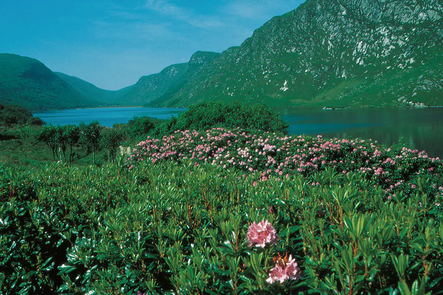 2026-0106 Hamburg – Hamburg Britain’s finest-image-1