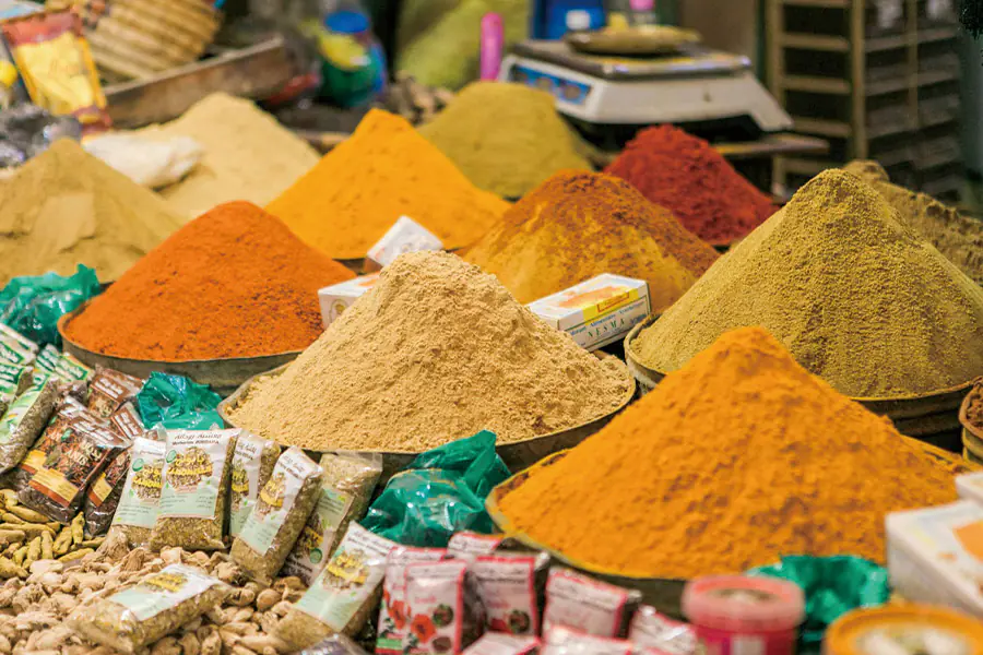 2026-0106 Lisbon – Tenerife African flair and Canarian charm-image-4