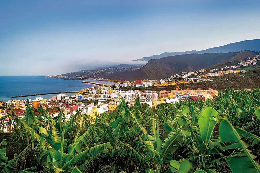 2026-0106 Lisbon – Tenerife African flair and Canarian charm-image-5