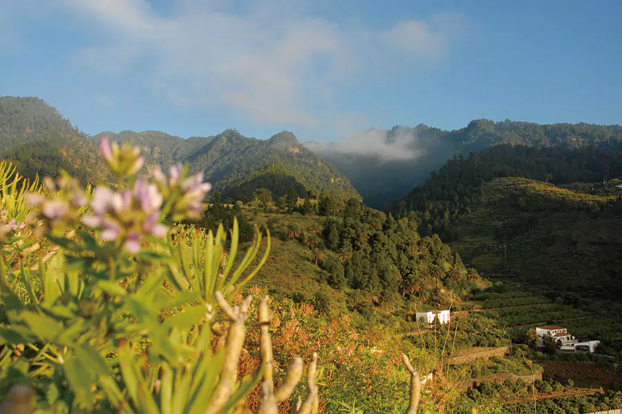 2026-0106 Lisbon – Tenerife African flair and Canarian charm-image