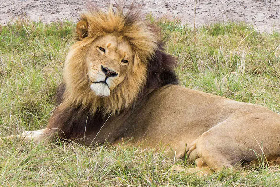 2026-0108-Golf & Cruise-Port Louis (Mauritius) – Cape Town Sunny islands, safari adventure and the best of South Africa-image-2