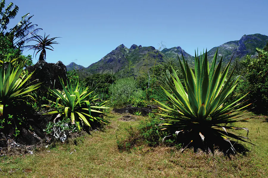 2026-0108-Golf & Cruise-Port Louis (Mauritius) – Cape Town Sunny islands, safari adventure and the best of South Africa-image