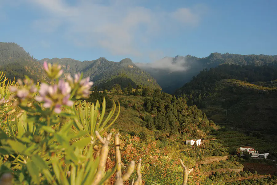2026-0108-Gran Canaria – Gran Canaria Welcome to the islands of everlasting spring – Hiking-IMAGE-3