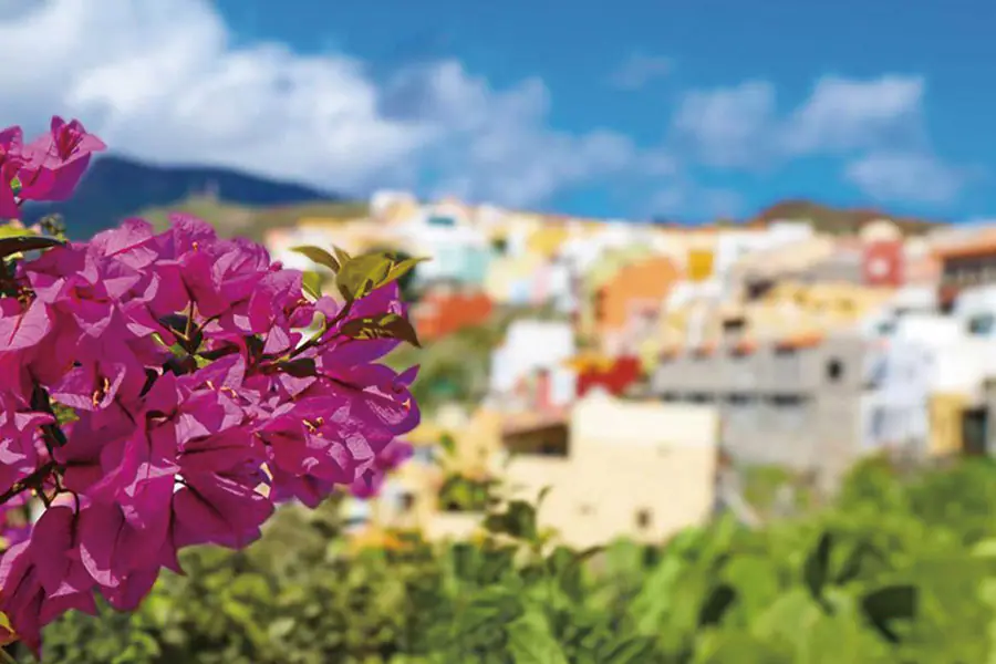 2026-0108-Gran Canaria – Gran Canaria Welcome to the islands of everlasting spring – Hiking-IMAGE-4