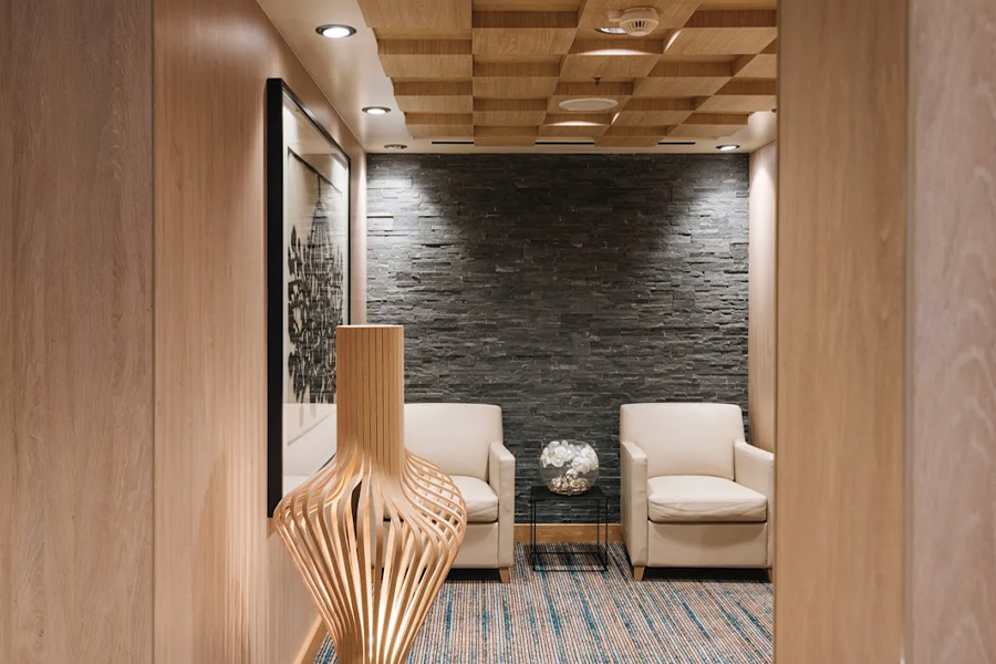 2026-0112 HX Expeditions-MS Fridtjof Nansen-Spa-image