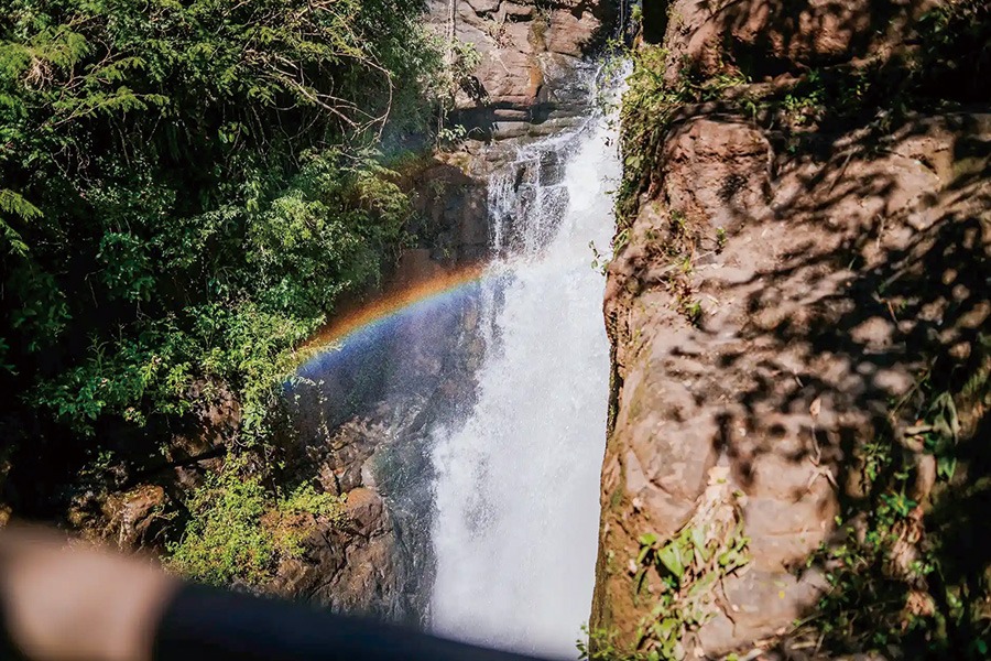 2026-0116 Parque Nacional Iguazú-image-01