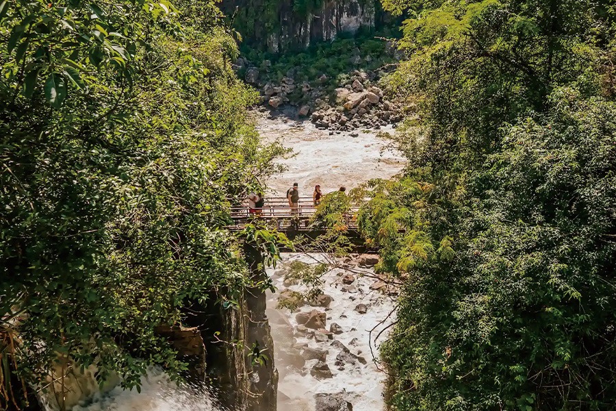 2026-0116 Parque Nacional Iguazú-image-02