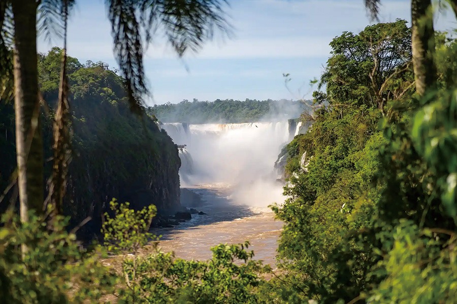 2026-0116 Parque Nacional Iguazú-image-03