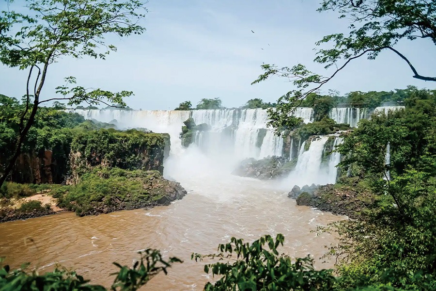 2026-0116 Parque Nacional Iguazú-image-04