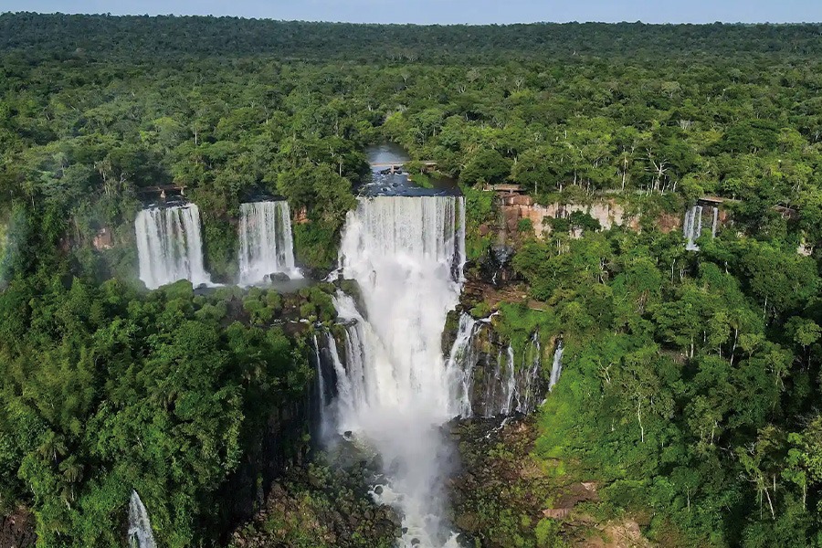 2026-0116 Parque Nacional Iguazú-image-06