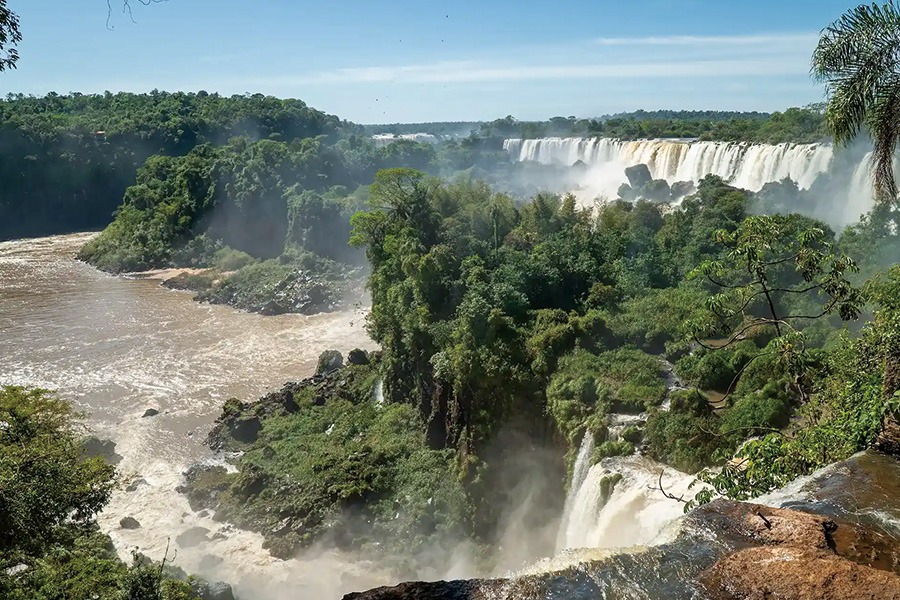 2026-0116 Parque Nacional Iguazú-image-07