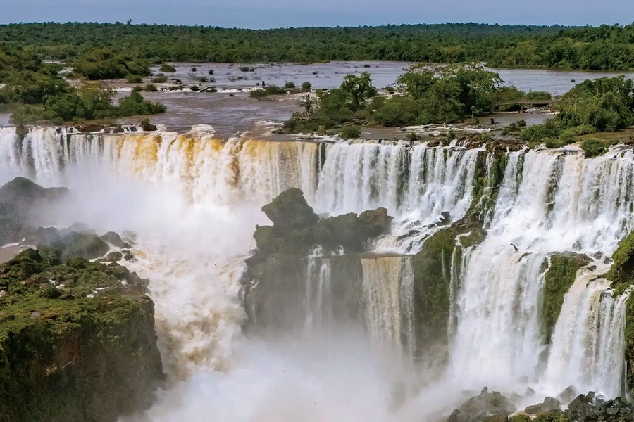 2026-0116 Parque Nacional Iguazú-image-08