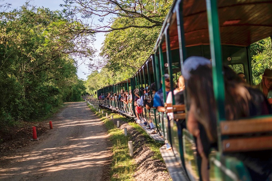 2026-0116 Parque Nacional Iguazú-image-11
