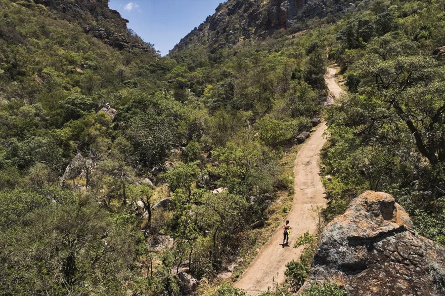 2026-0121 Big Five Marathon-image-10