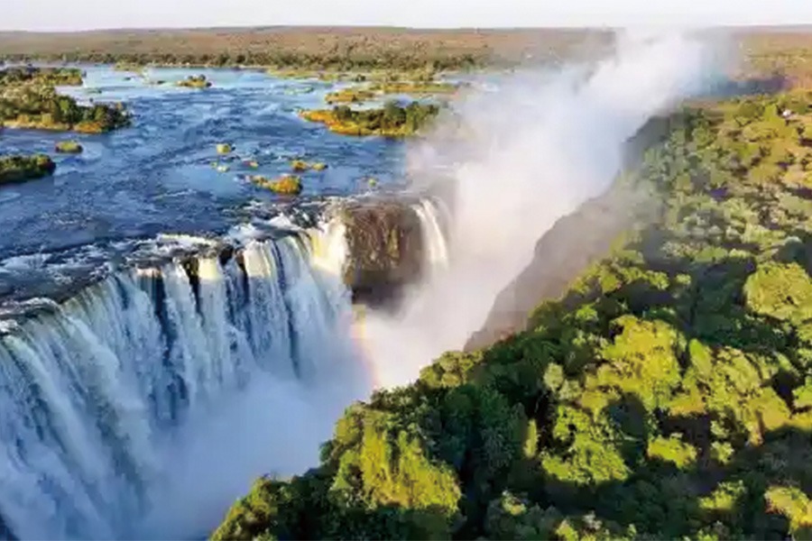 2026-0121 Big Five Marathon-image-3