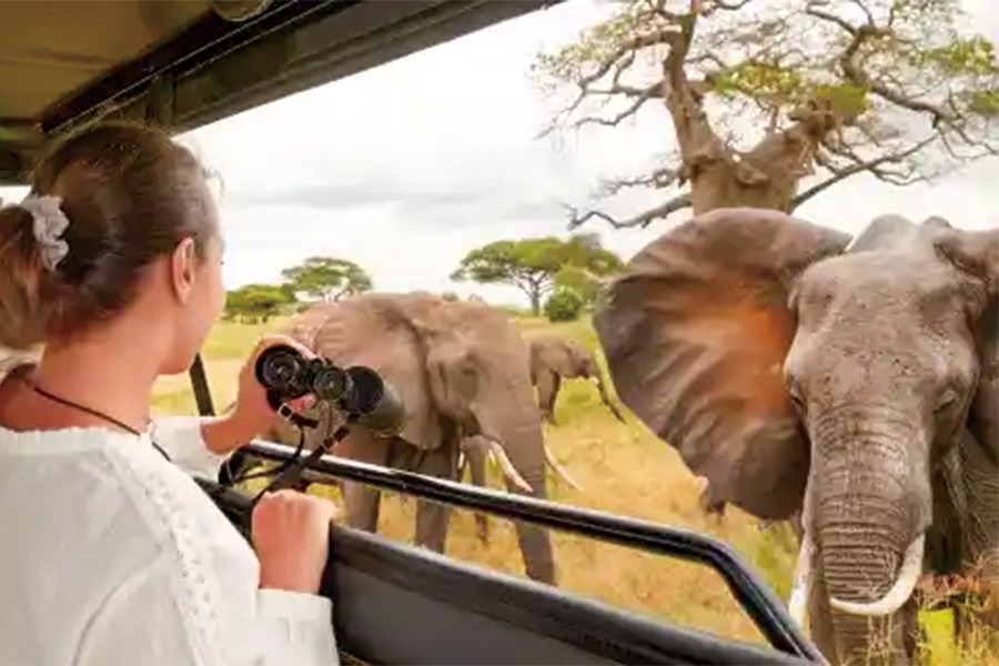 2026-0121 Big Five Marathon-image-4