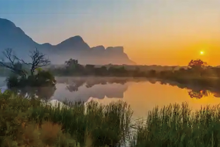 2026-0121 Big Five Marathon-image-5